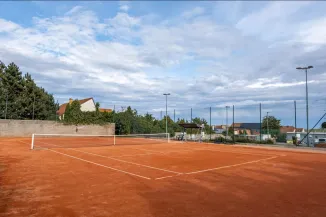 Tenis