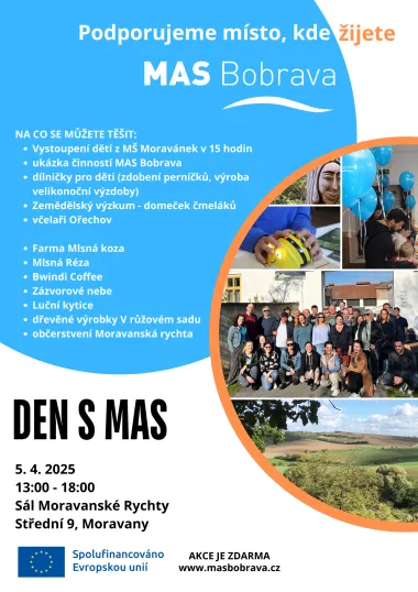 den s MAS