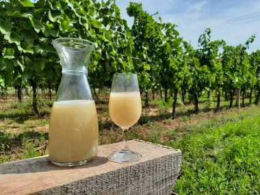 Vinařství Holánek