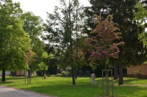 Revitalizace zeleně v Moravanech u Brna